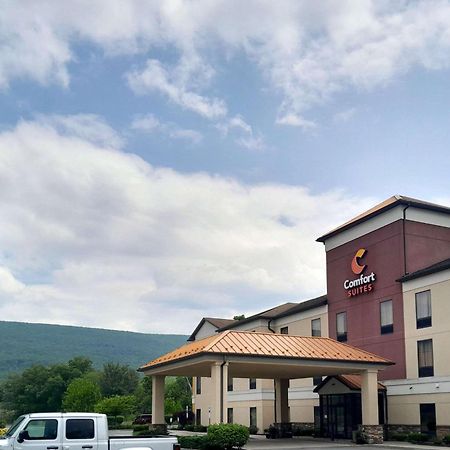 אלטונה Comfort Suites מראה חיצוני תמונה